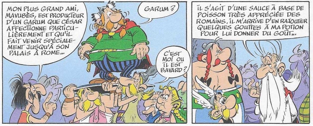 Astérix en Lusitanie 13